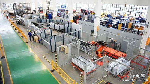 植樹節 與森赫共奏雙碳高質量發展主旋綠